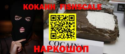гидра Заводоуковск