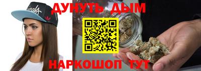 гидра Заводоуковск