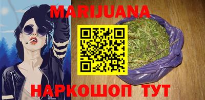 гидра Заводоуковск